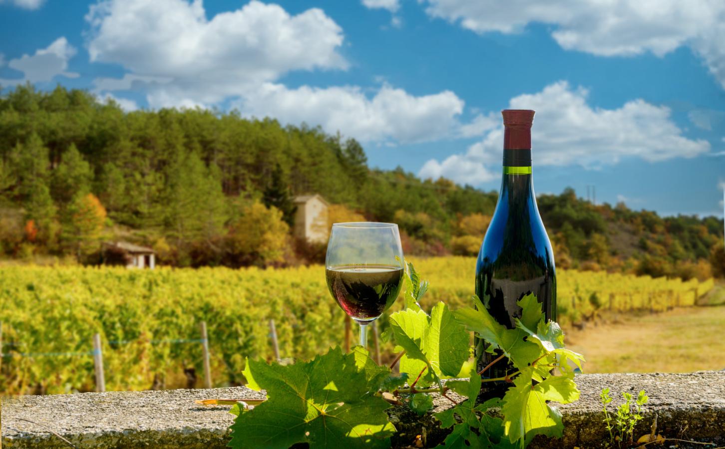 Senderismo en el Monte Vesubio y degustación de vinos-2